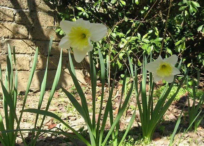 Il Portone 컨트리하우스