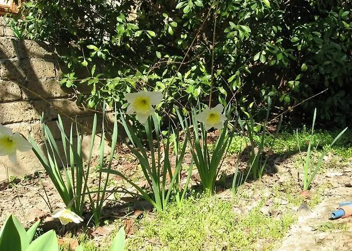 컨트리하우스 Il Portone